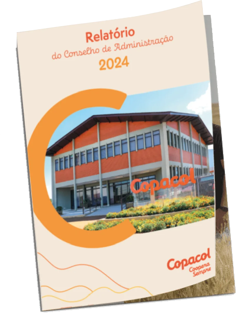 Relatório Anual de 2024